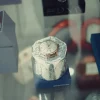 Luxury Watch Maintenance