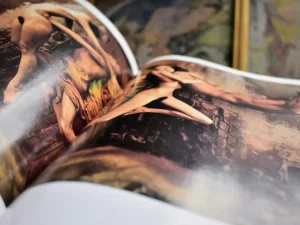 Step‑by‑step guide to curating a fine art collection for a luxury