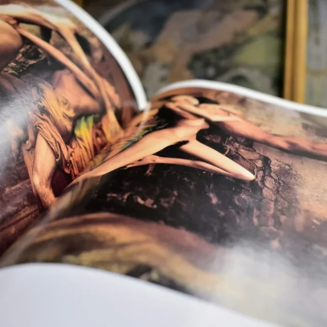 Step‑by‑step guide to curating a fine art collection for a luxury